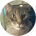 Shelley Paris-Riden profile picture